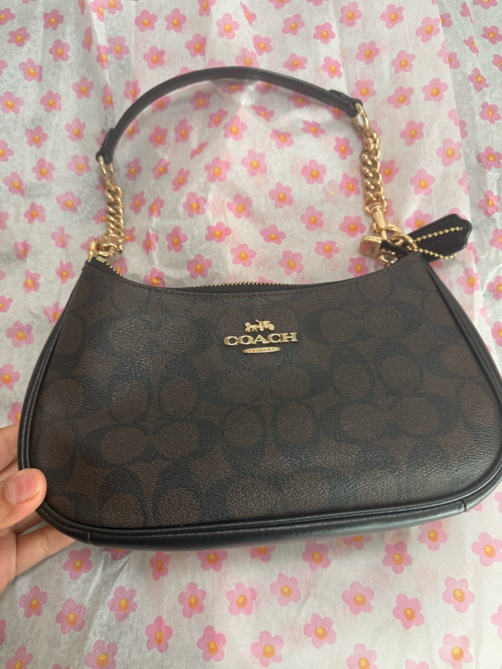 Coach Dark Brown Signature TERI BAG